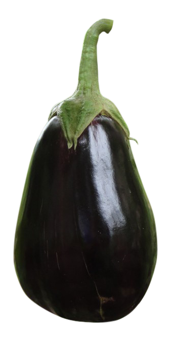 egg plant, egg plant png, egg plant png image, egg plant transparent png image, egg plant png full hd images download